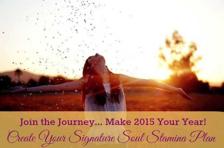 #5 Soul Stamina Plan 2015