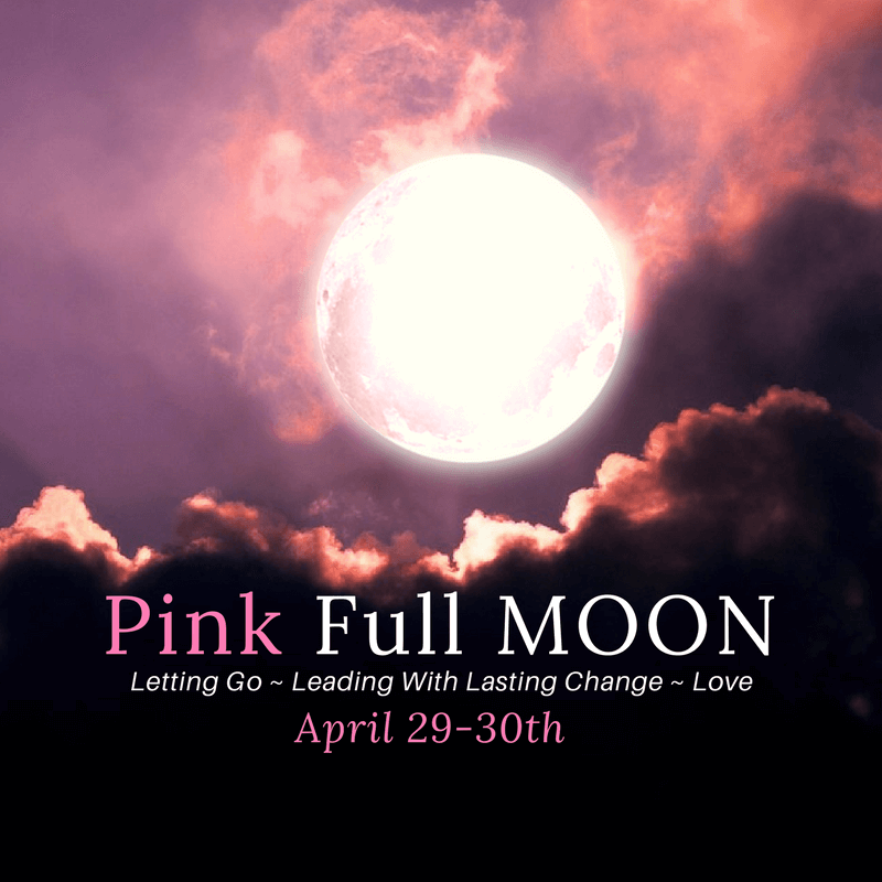 April Pink Full Moon 2018 Insider - Anne Ribley