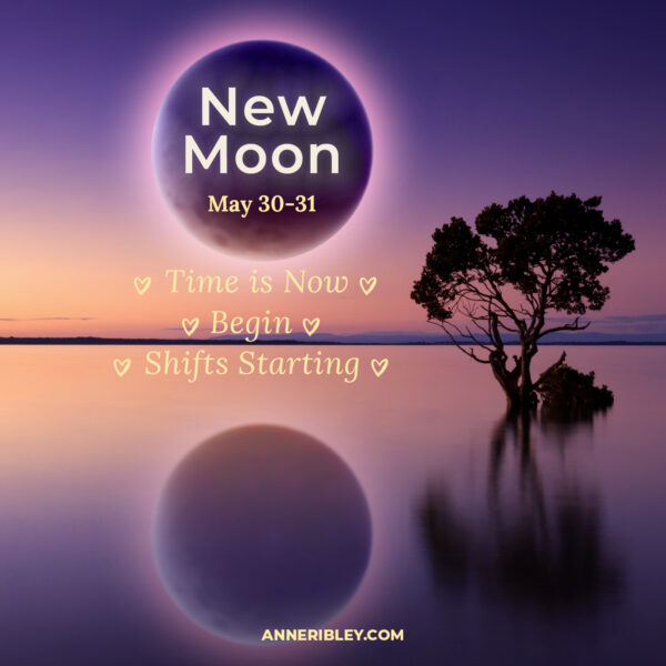 May New Moon 2022 Insider Anne Ribley