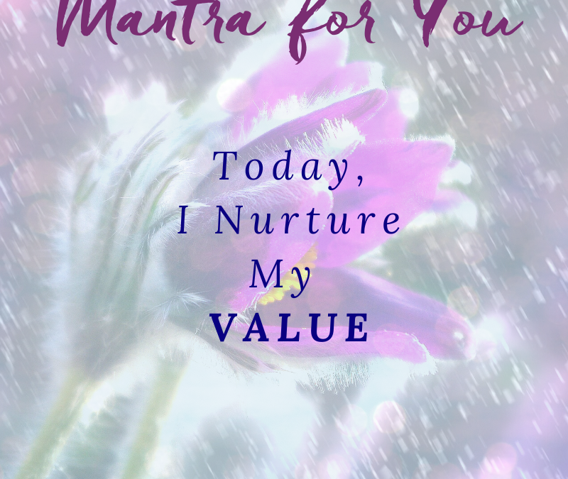 Value Prosperity Mantra