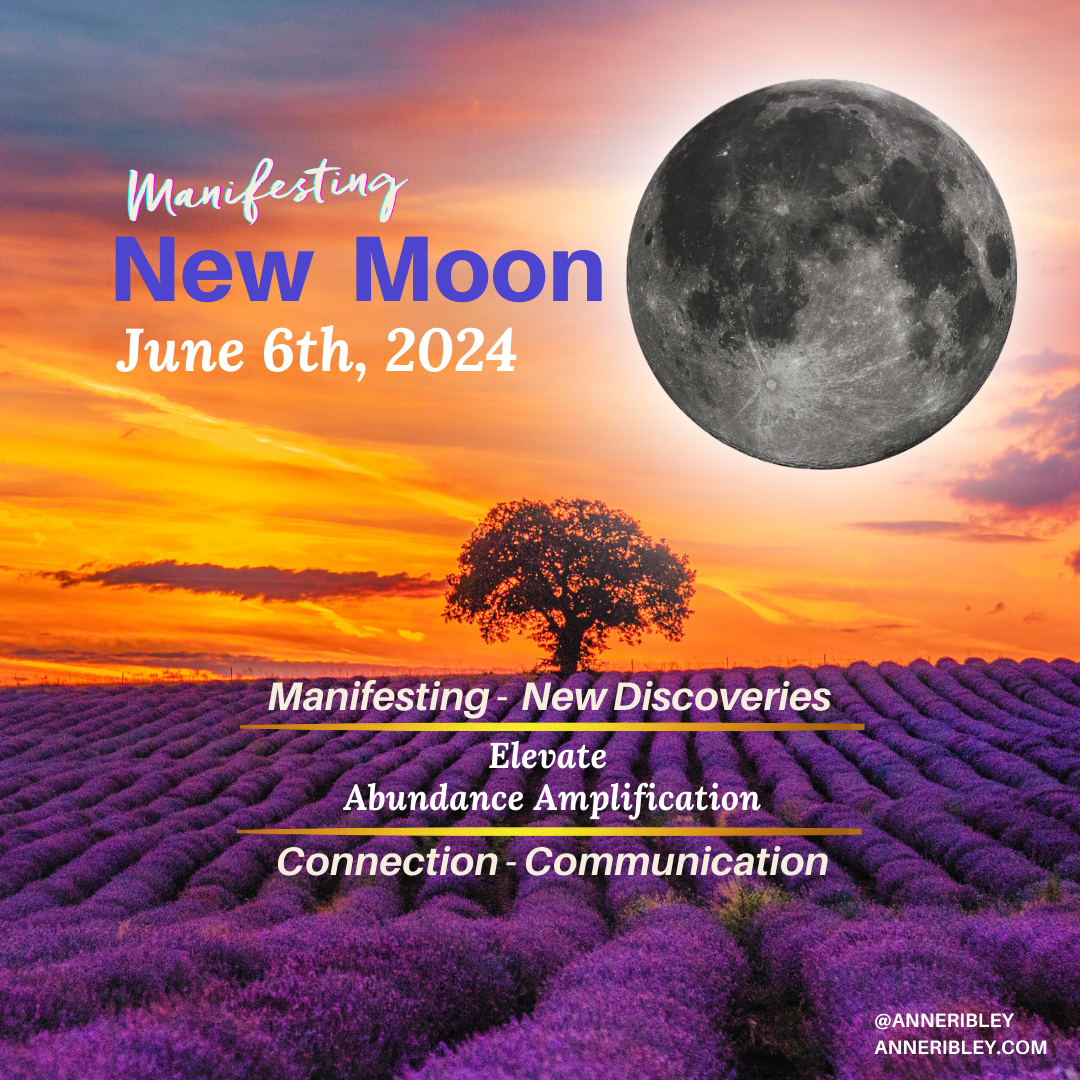 June New Moon 2024 Insider Anne Ribley