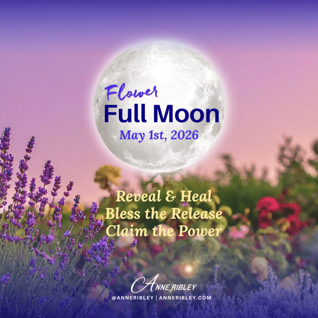 May Flower Full Moon 2026 Insider